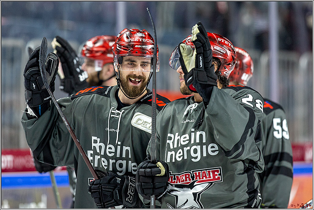 DEL; Koelner Haie - Augsburger Panther, 14.11.2018